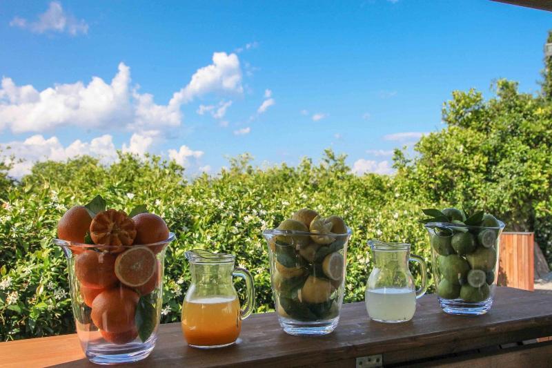 Agriturismo Galea Riposto Luaran gambar